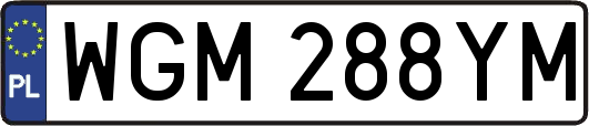 WGM288YM