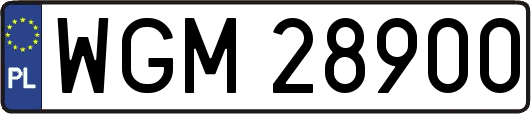 WGM28900