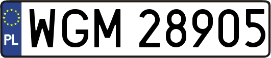 WGM28905