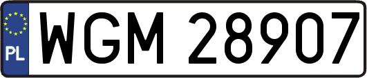 WGM28907