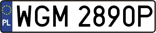 WGM2890P