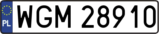 WGM28910