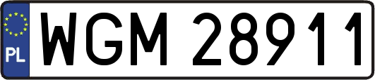 WGM28911