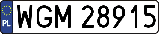WGM28915
