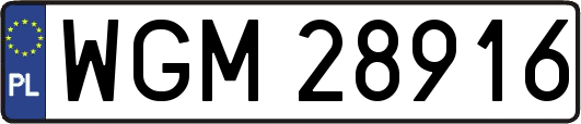 WGM28916