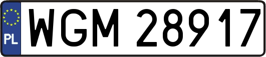 WGM28917