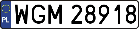 WGM28918