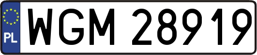WGM28919