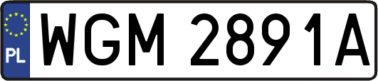 WGM2891A