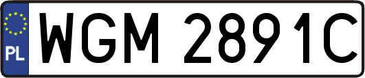 WGM2891C