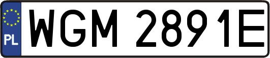 WGM2891E