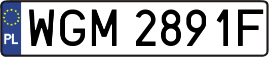 WGM2891F