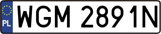 WGM2891N