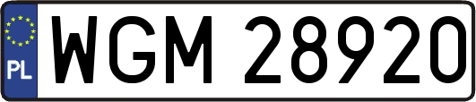WGM28920