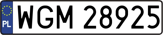 WGM28925