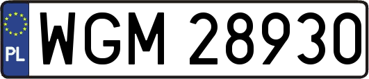 WGM28930