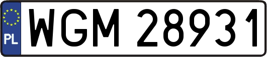 WGM28931