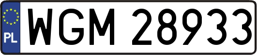 WGM28933