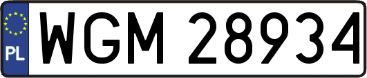 WGM28934