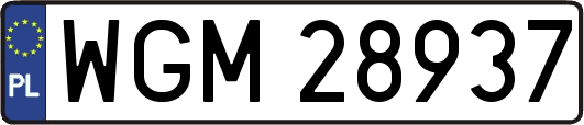 WGM28937
