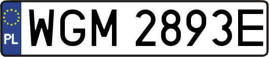 WGM2893E