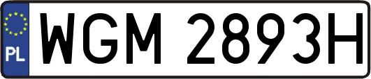 WGM2893H