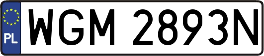 WGM2893N