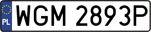 WGM2893P
