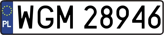 WGM28946