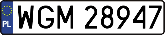 WGM28947