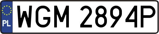 WGM2894P