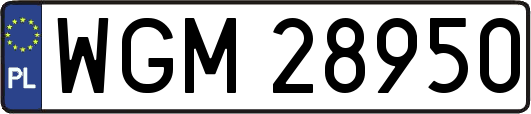 WGM28950