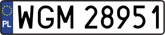WGM28951