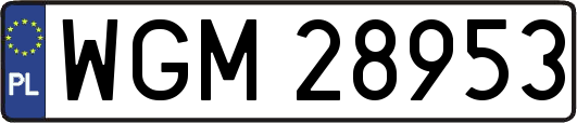 WGM28953