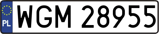 WGM28955