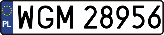 WGM28956