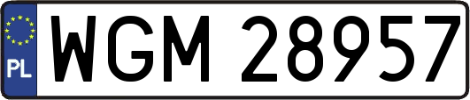 WGM28957