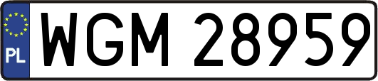 WGM28959
