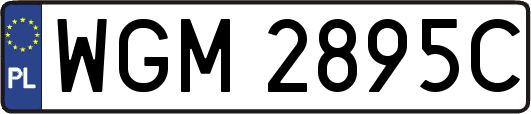 WGM2895C