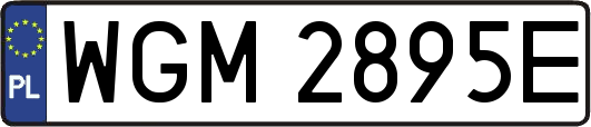 WGM2895E