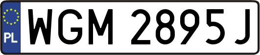 WGM2895J