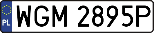 WGM2895P