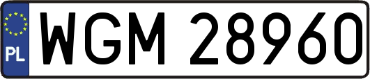 WGM28960