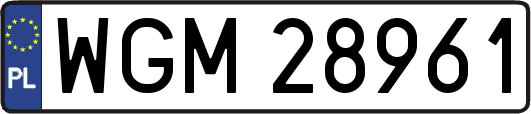 WGM28961