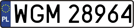 WGM28964