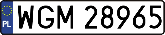 WGM28965