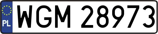 WGM28973