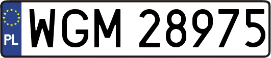 WGM28975