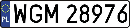 WGM28976