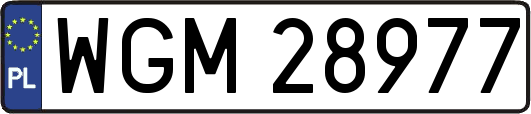 WGM28977